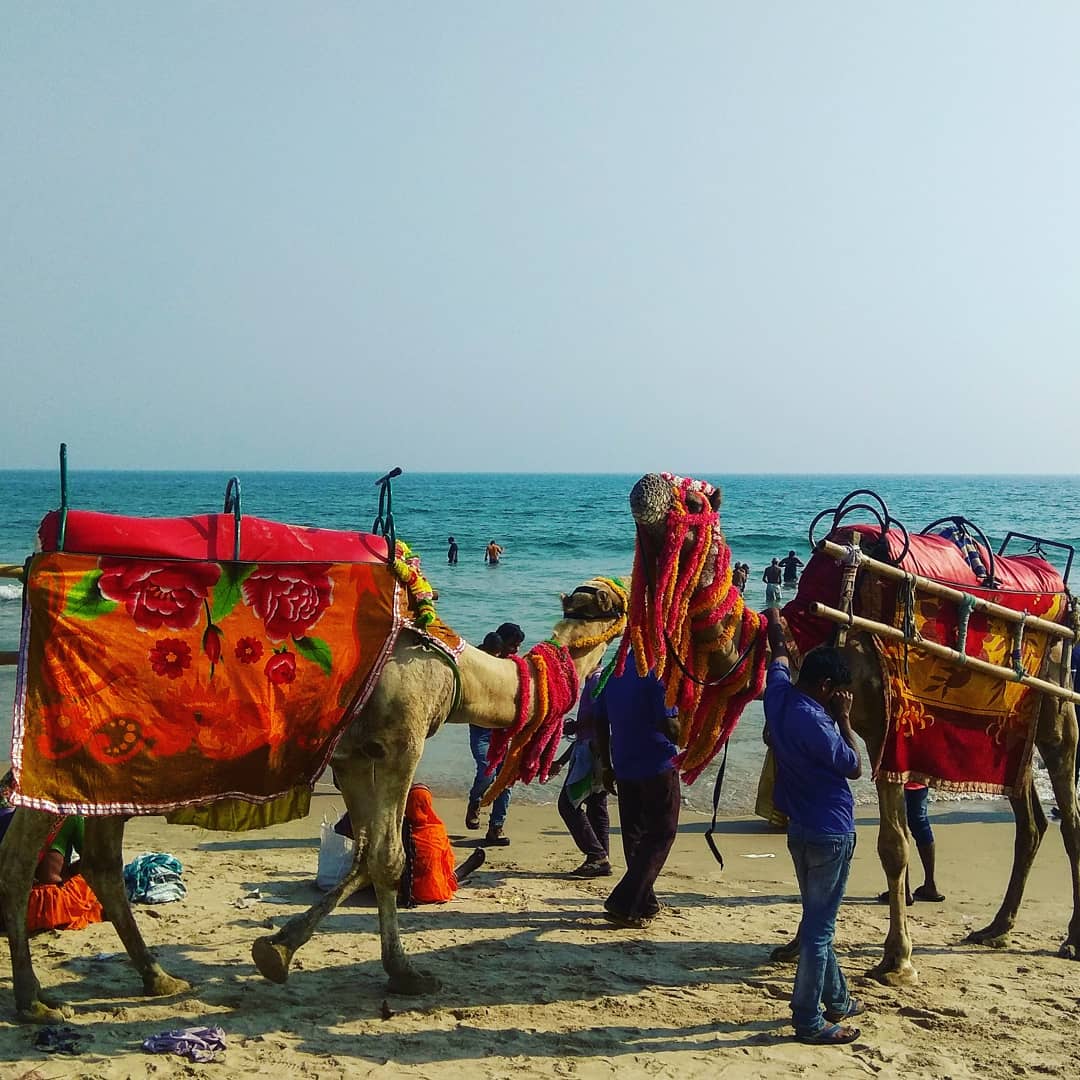 24 hours in  bhubaneshwar. A short trip to Puri and konark
