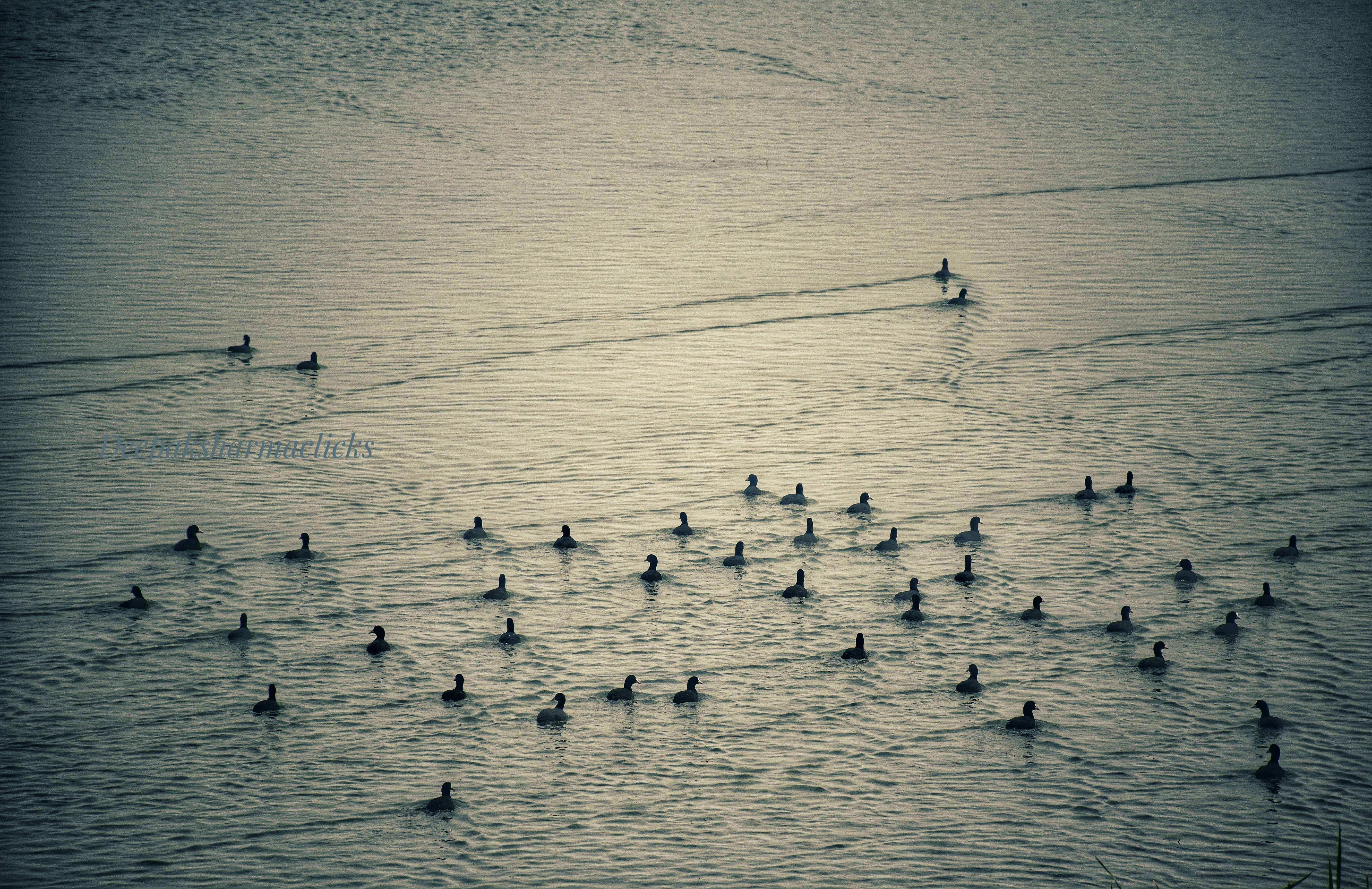 IMG_20181105_185425-01-01