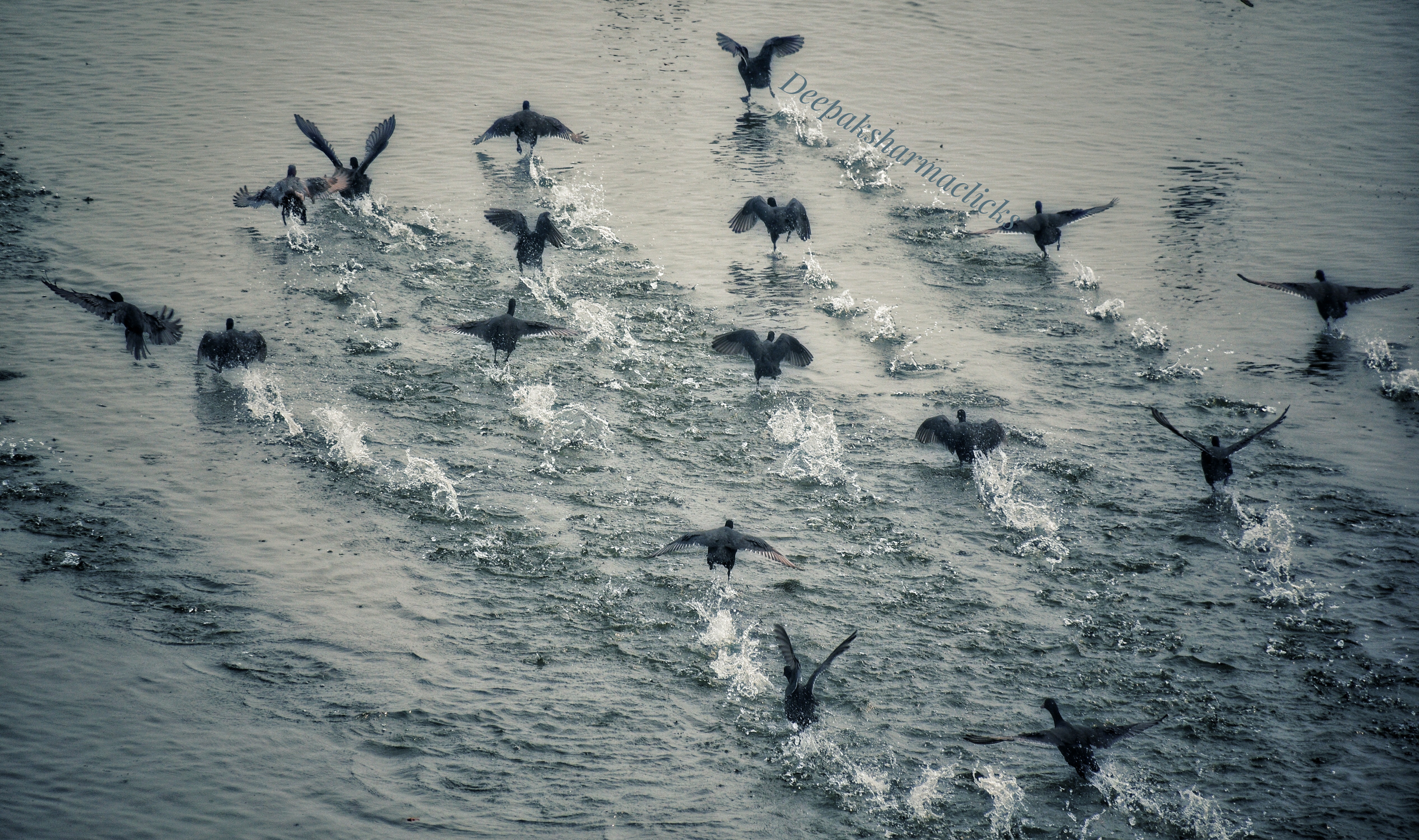 IMG_20181105_185840-01-01