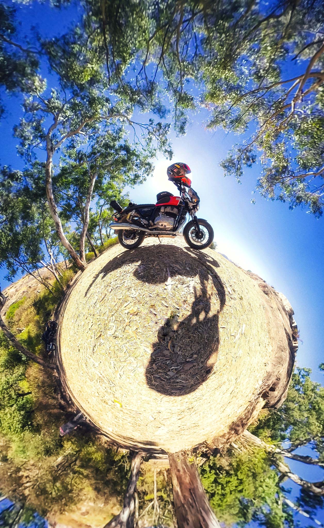 Tiny Planet and 650 Twin